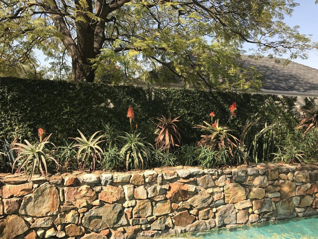 Hotel The Parkwood Johannesburg Exteriér fotografie